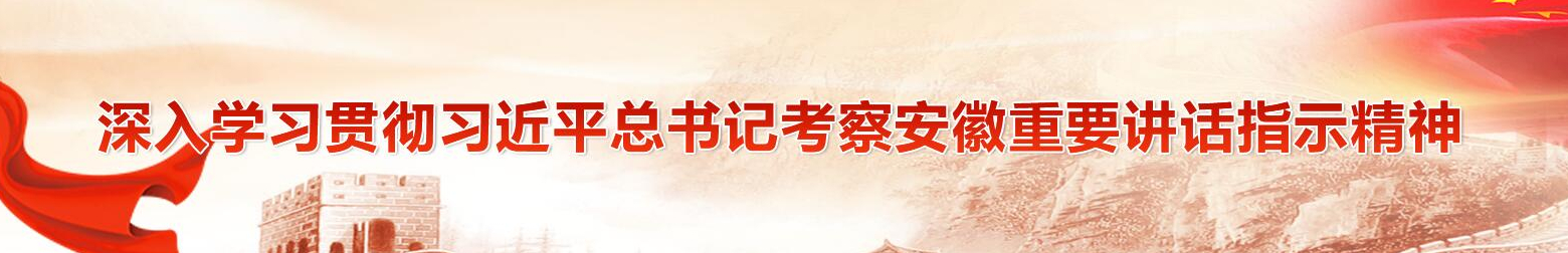 學(xué)習(xí)貫徹習(xí)近平總書(shū)記考察安徽重要講話(huà)精神